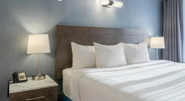 Standard cameră Red Carpet Inn