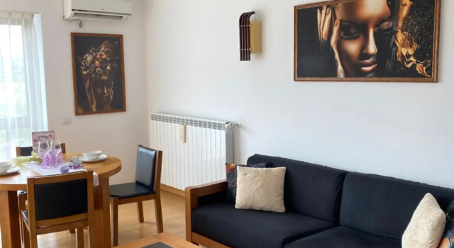 Sunny two room apartment, Baneasa, Petrom City., Book Apartment Bucharest Muntenia, near S-Park