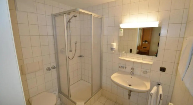 Двухместный номер Standard Alpenhotel Widderstein