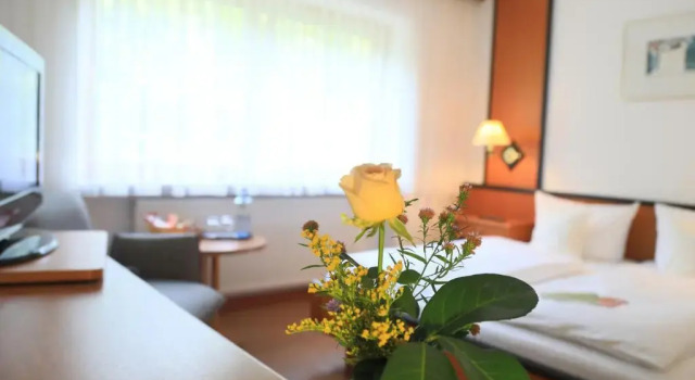 Двухместный номер Standard Landidyll Hotel Zum Alten Schloss