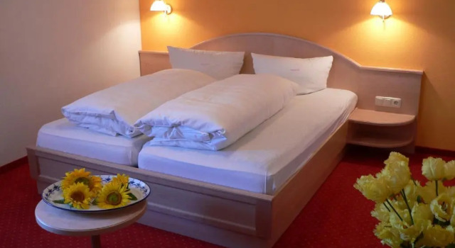 Двухместный номер Standard Die Lilie / Hotel Garni