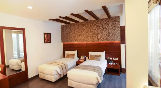 Двухместный номер Superior Hotel Icon