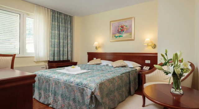 Двухместный номер Standard Hotel Villa Bacchus