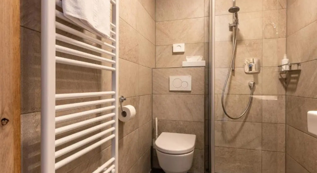 Номер Standard Hotel Hochfilzer