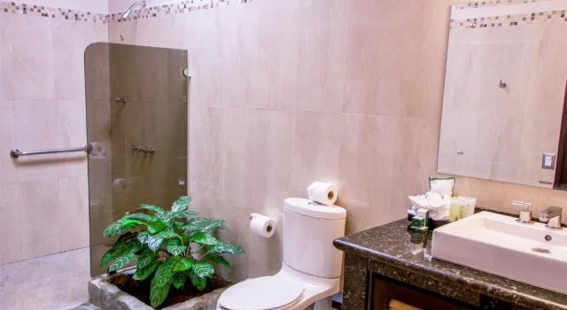 Полулюкс Superior Arenal Manoa Hot Springs Resort