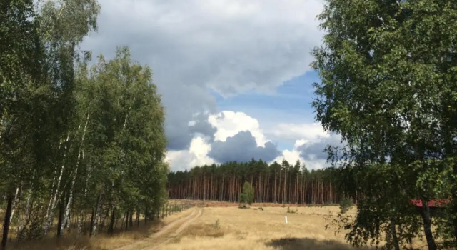 Коттедж Dom Mossa