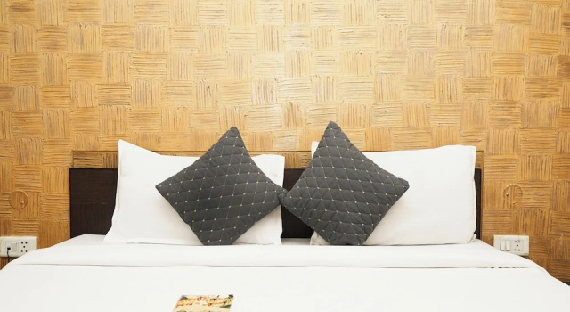 Двухместный номер Deluxe Hotel Om Paradise Near IGI Delhi Airport