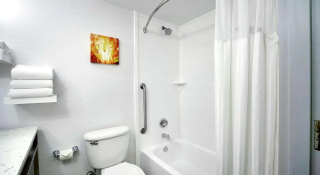Четырёхместный номер Standard Hilton Garden Inn Columbus/Polaris