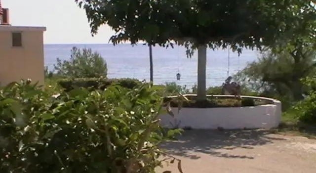 Beach Bungalows