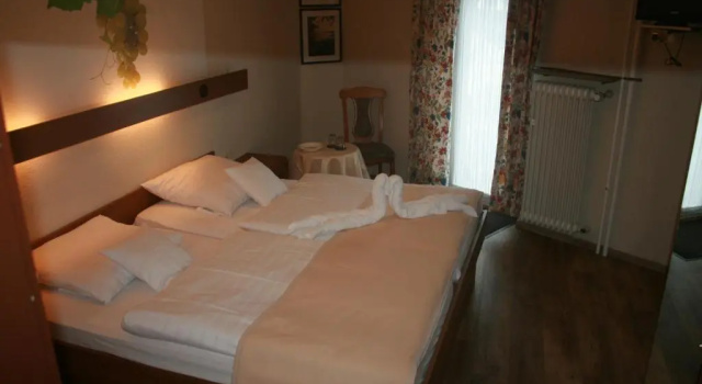 Двухместный номер Standard Mosel Weinhotel Steffensberg