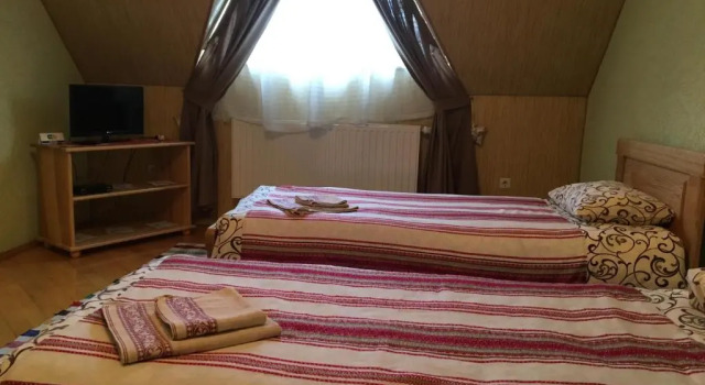 Двухместный номер Economy Hotel Svitlytsia