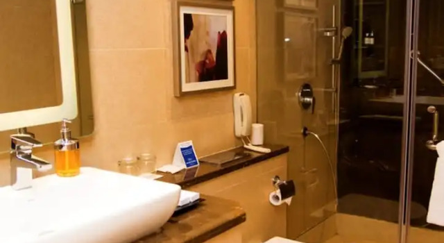 Двухместный номер Deluxe Grand Mercure Agra - An Accor Brand