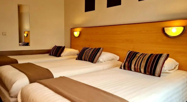 Номер Comfort Hotel Restaurant t Trefpunt