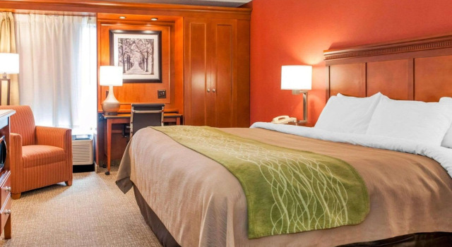Comfort Inn Oxford - University Area, Book Hotel Hoteller i Oxford med pool, Swimmingpool