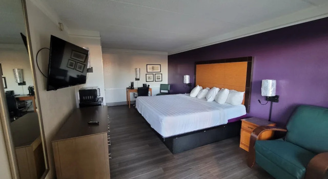 Одноместный номер Executive Hotel Palm Bliss Corpus Christi South