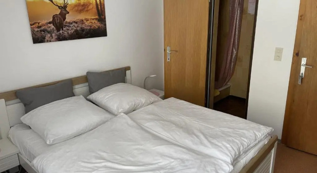Двухместный номер Standard с балконом Haus Grünstein