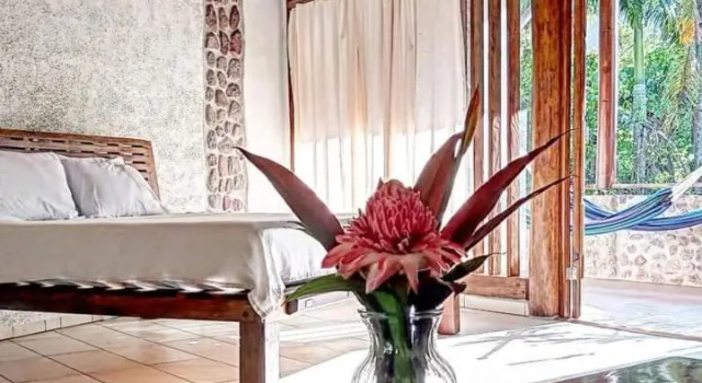 Номер Deluxe Omega Tours Adventure Company & Eco Jungle Lodge