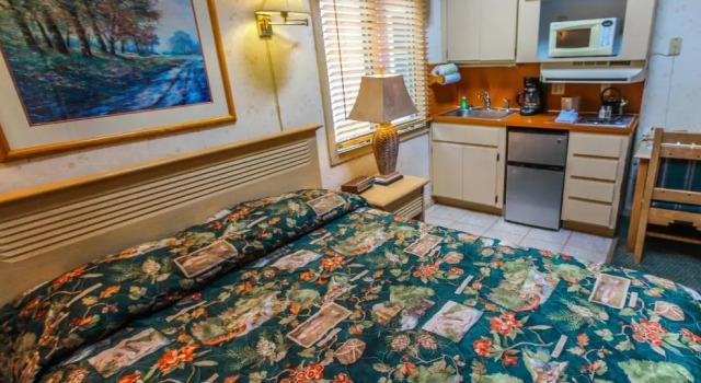 Студия Smoketree Lodge