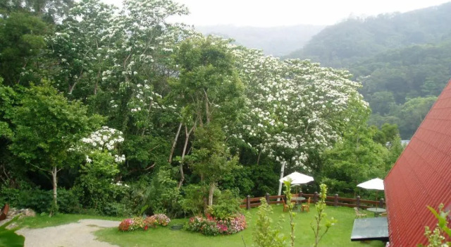 Номер Standard Haowangjiao Homestay