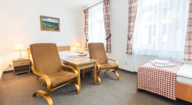 Трёхместный номер Standard Hotel Seifert