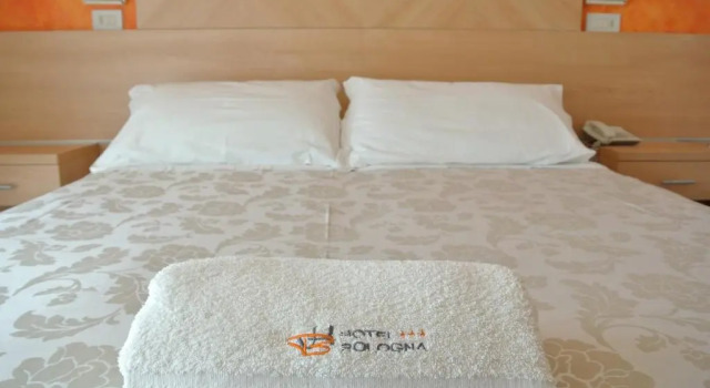 Двухместный номер Standard Hotel Bologna