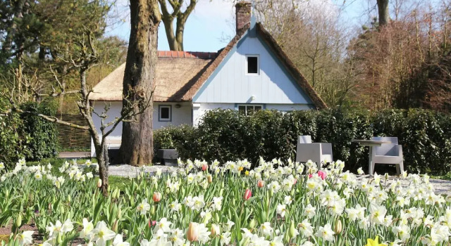 Romantic holiday home in Bergen North Holland with terrace