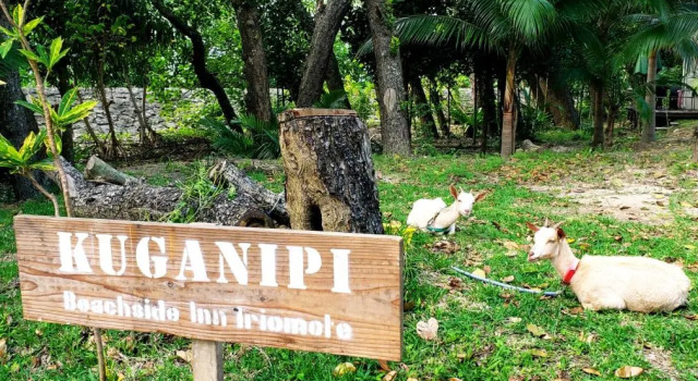 Kuganipi Beachside Inn Iriomote, Book Hotel Hotels in Okinawa with Breakfast, Breakfasts