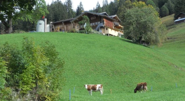 Bauernhaus Gschwend
