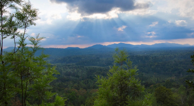 Двухместный номер Standard Coorg Cliffs Resort