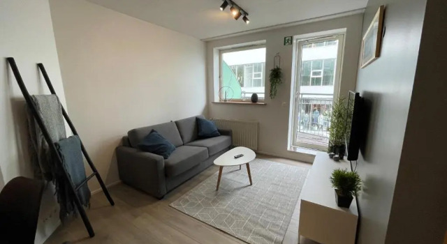 Апартаменты c 1 комнатой Saga Apartments Akureyri