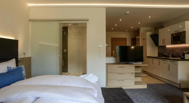 Студия с балконом R Appartements Sommerbergbahnen inklusive
