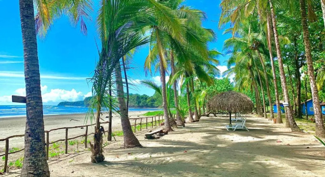 Трёхместный номер Standard c 1 комнатой рядом с пляжем Hotel Oasis & Surf Camp