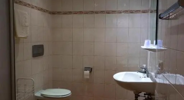 Номер Standard Hotel & Chalets Lampllehen