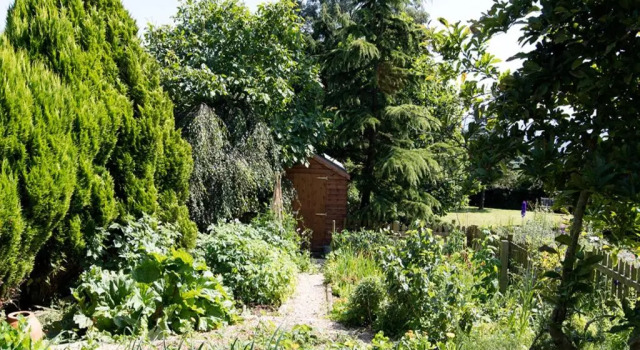 Двухместный номер Deluxe The Graig Bed and Breakfast Ludlow