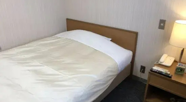 Одноместный номер Standard с видом на город Hotel Togane Hills