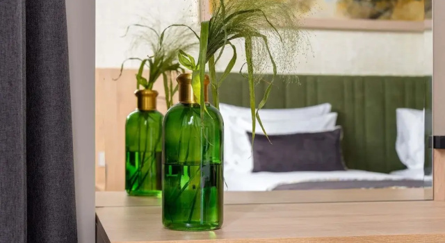 Двухместный номер Superior Mercure Conacul Cozieni