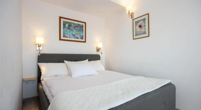 Одноместный номер Standard Hotel Jan