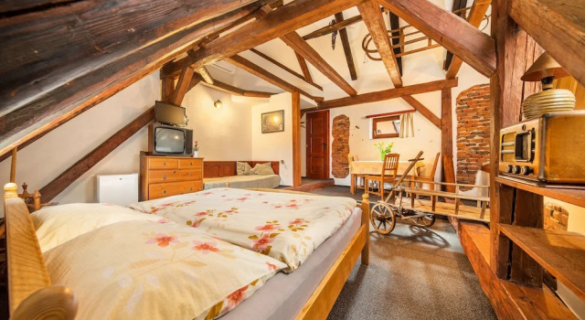 Номер Deluxe Pension BLUME