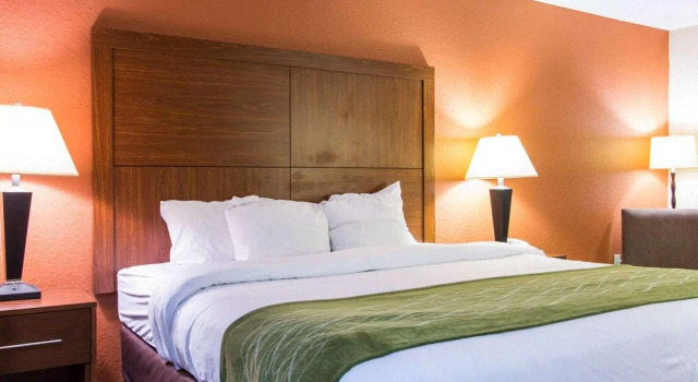 Двухместный номер Standard Comfort Inn & Suites Charleston Airport Convention Center