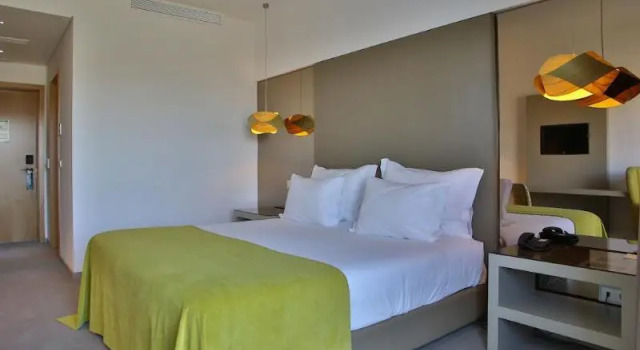 Двухместный номер Standard с балконом Delfim Douro Hotel