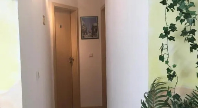 Номер Standard Privatzimmer Bellevue