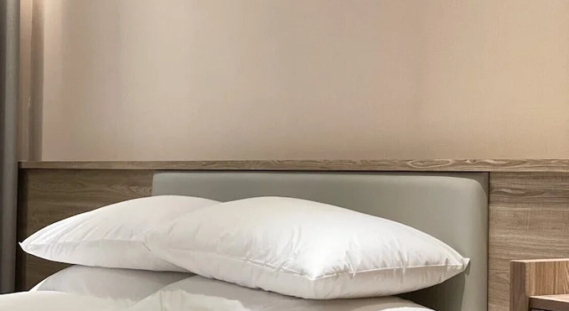 Люкс Spring Rhapsody Hotel