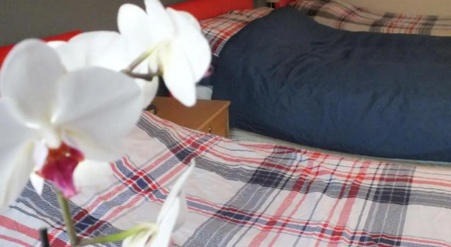 Номер Classic Bonna's Bed And Breakfast