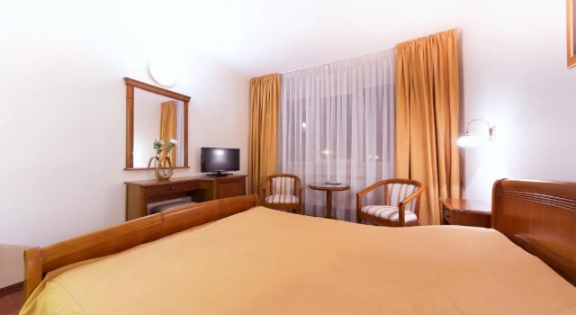 Двухместный номер Standard Hotel Transilvania