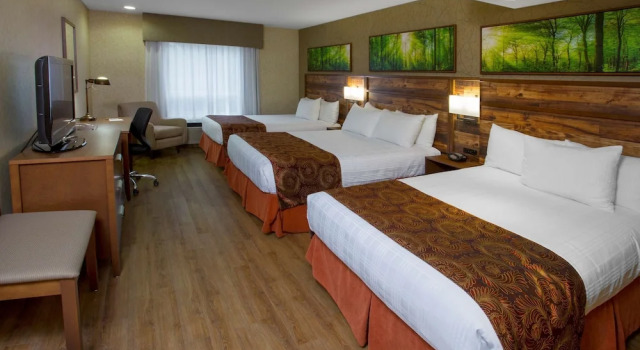 Люкс Best Western Plus Valemount Inn & Suites