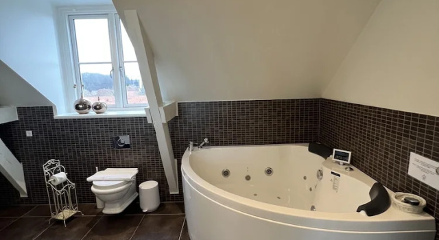 Люкс с видом на море Bandholm Badehotel