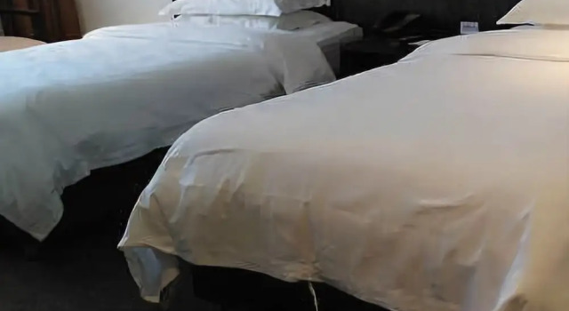 Xing Kong Holiday Inn, Rezerwuj Hotel Hongxing Pekin