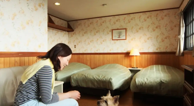 Номер Standard Petit Hotel Paddington House