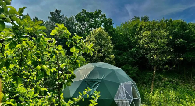Тент Na Skraju Lasu Domek na Drzewie & Glamping