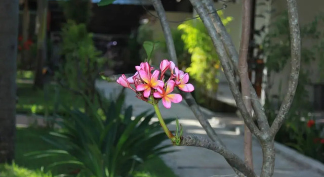 Номер Standard Herry Homestay Kuta Lombok
